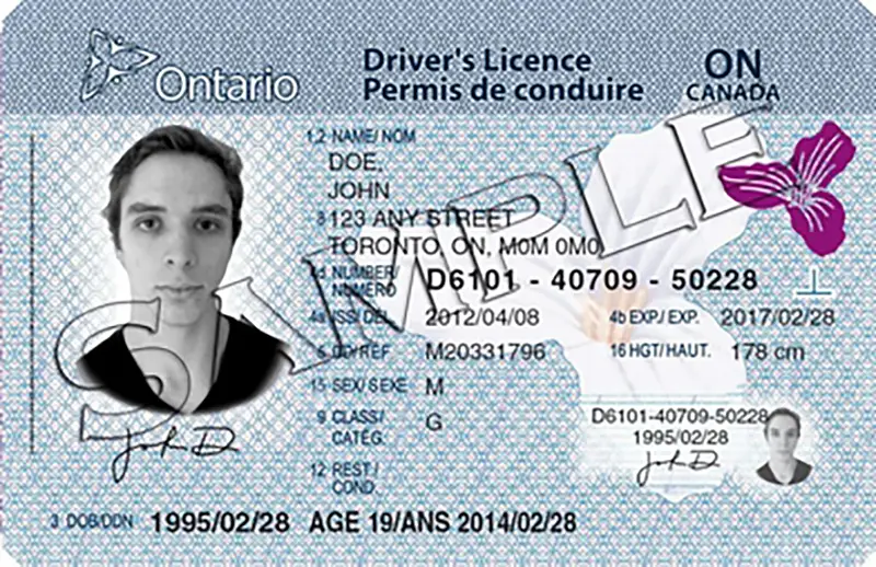 Canada Driver License