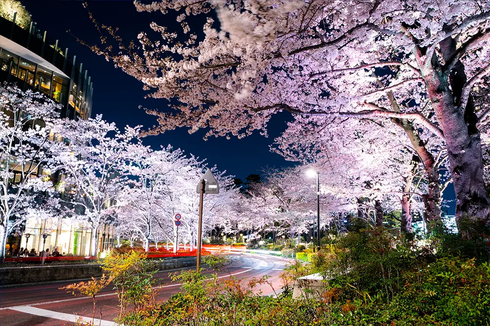 六本木マリオカートツアー